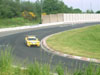 Viper in Hatzenbach